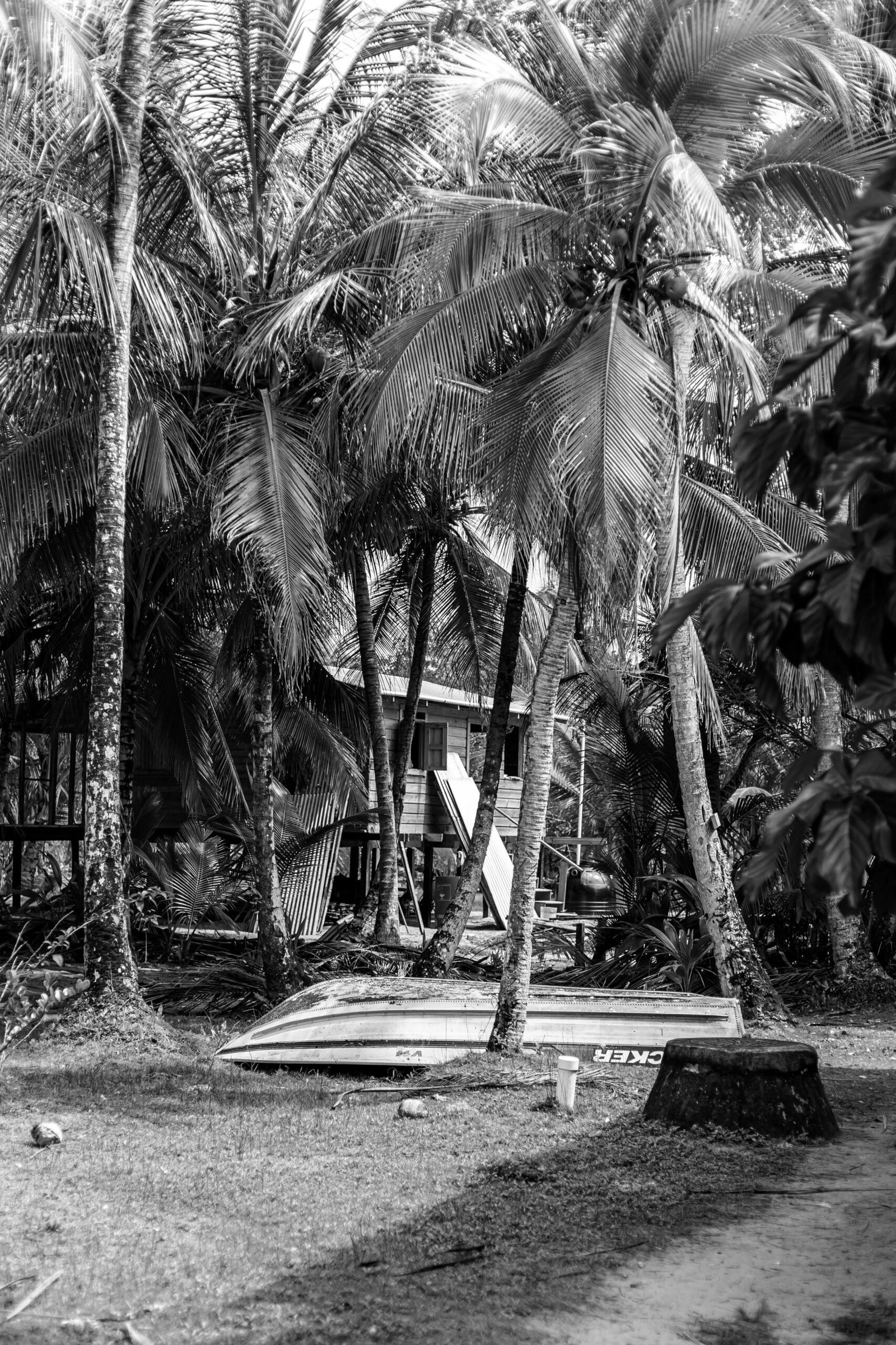 pexels-octavio-scholz-3164742-21047373